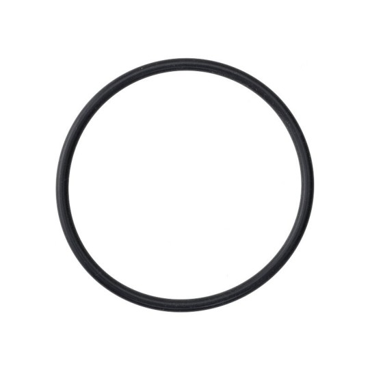 Thermoblock seal Gaggia Classic, New Classic Evo, Baby Class (421940202551)