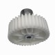 Gear for Meat Grinder Reducer Stollar BMG590 (BMG590/08)