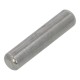 Lid hinge pin for Saeco and Gaggia coffee machines (421944061701)