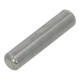 Lid hinge pin for Saeco and Gaggia coffee machines (421944061701)